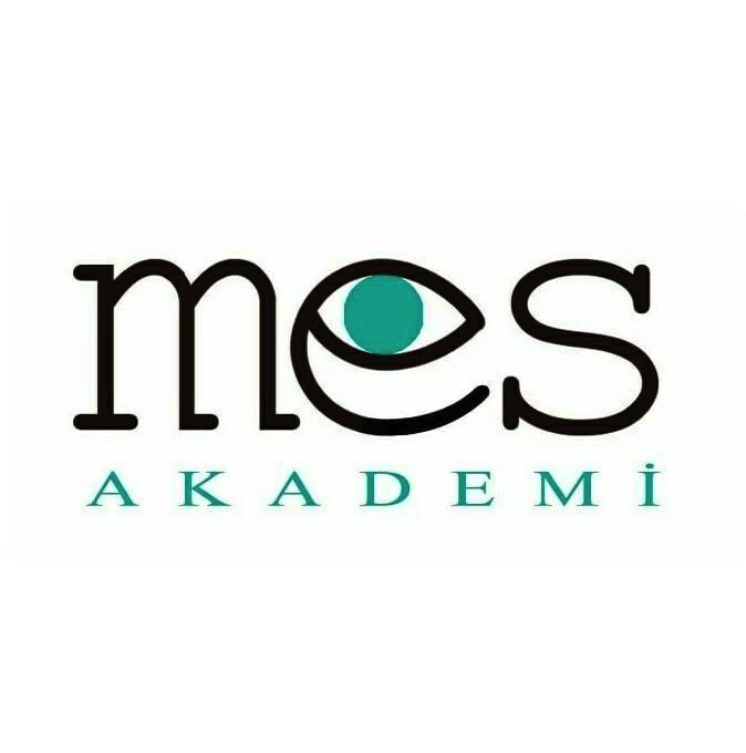 Mes Akademi